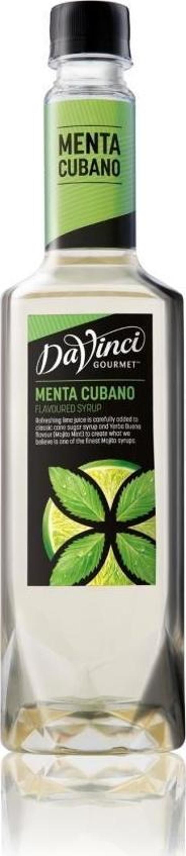 Davinci Gourmet Nane ve Limon Aromalı Şurup 750 ml - Image 1