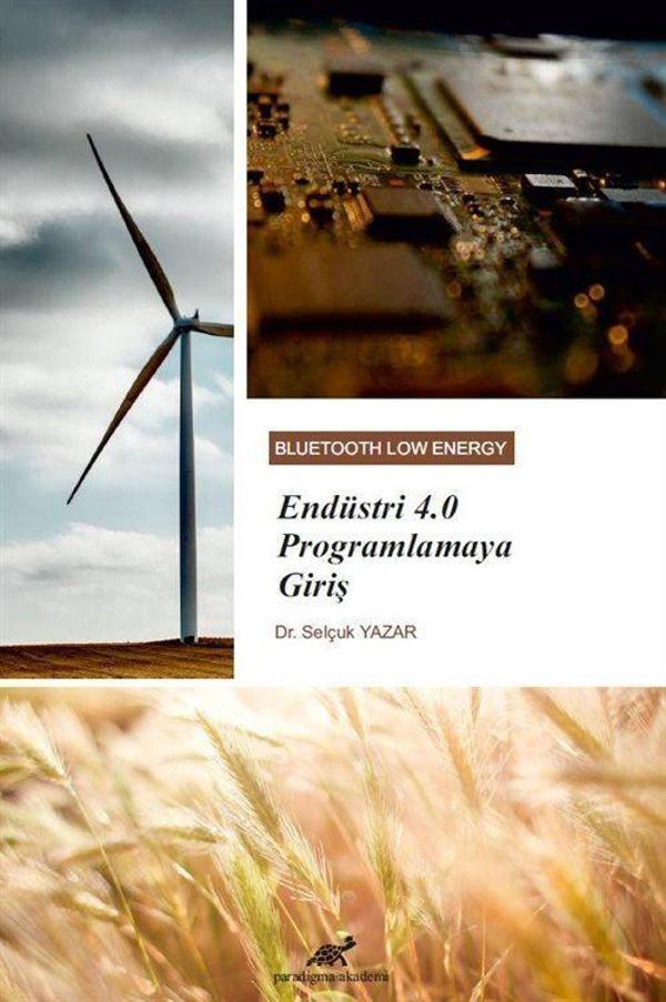 Endüstri 4.0 Programlamaya Giriş - Paradigma Akademi Yayınları - Image 1