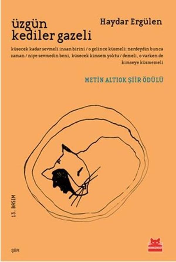 Üzgün Kediler Gazeli - Kırmızı Kedi Yayınevi - Image 1