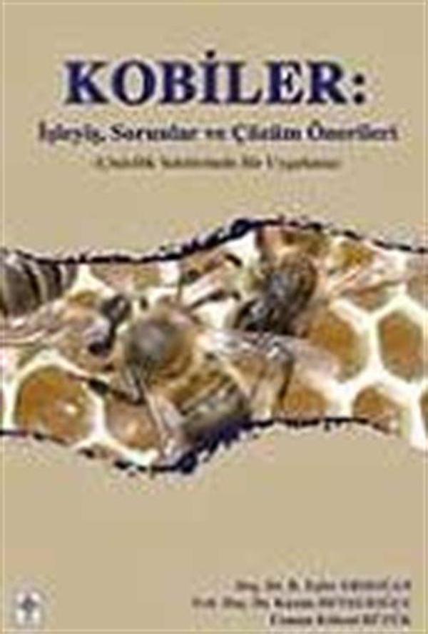 Kobiler İşleyiş, Sorunlar ve Çözüm Önerileri - Ekin Basım Yayın - Image 1