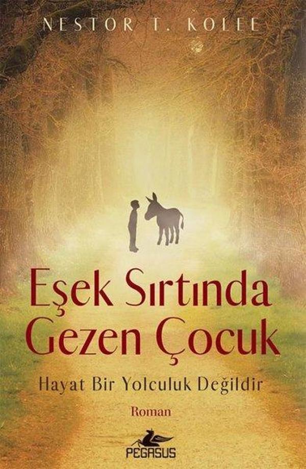 Eşek Sırtında Gezen Çocuk - Pegasus Yayınevi - Image 1