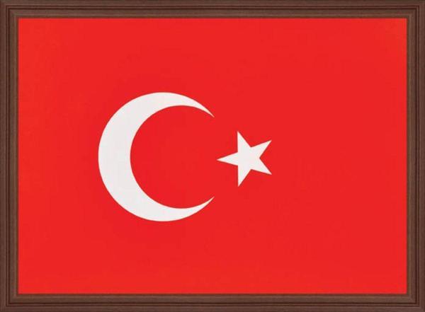Panda 30 x 45 Cm Türk Bayrağı ( Mdf Çerçeveli ) Portre Tablo Pano - Pan407 - Image 1