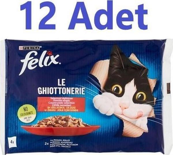 Felix Multipack Sığır ve Tavuk Etli Yetişkin Yaş Kedi Maması (4X85gr) - 12 Adet - Image 1