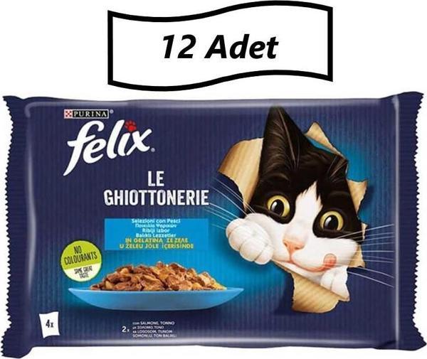 Felix Multipack Somonlu ve Ton Balıklı Yetişkin Kedi Yaş Maması 4X85 gr - 12 Adet - Image 1