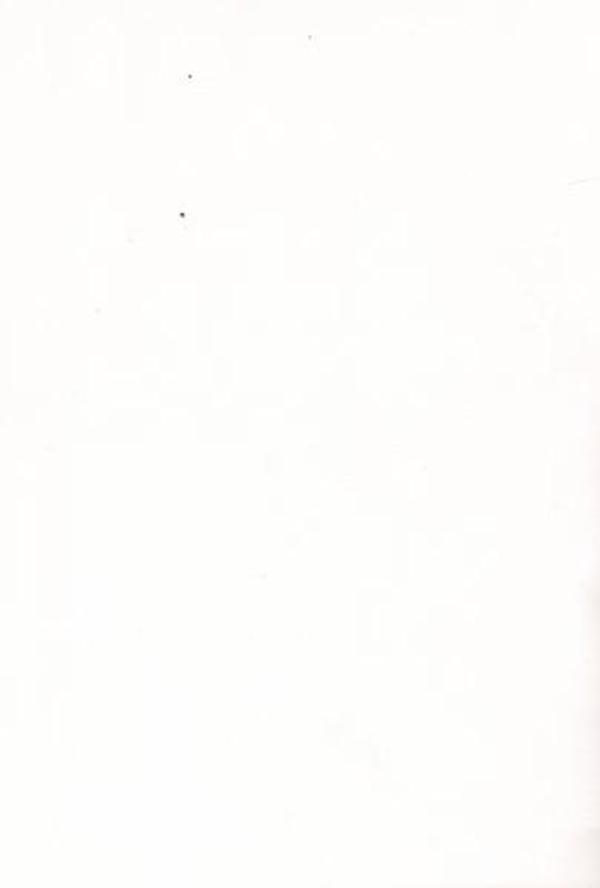 Yeni Alan Yayıncılık İmparatorluklar Beşiği - Yeni Alan Yayıncılık - Image 1