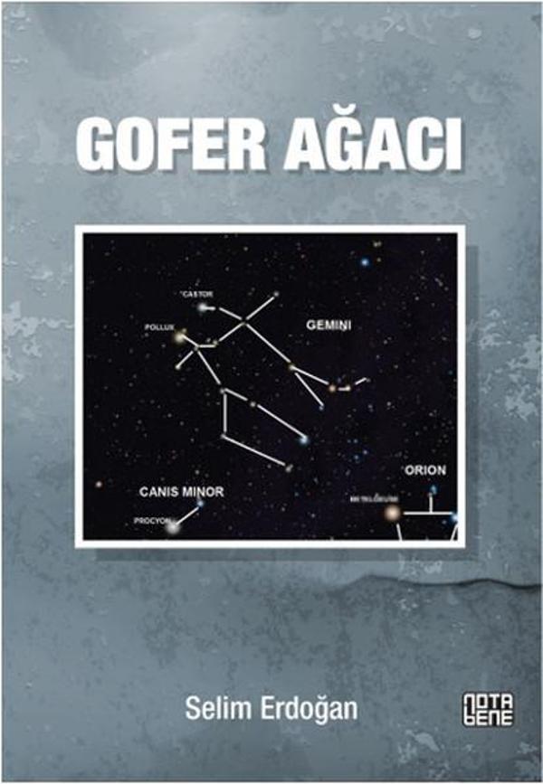 Gofer Ağacı - Nota Bene Yayınları - Image 1