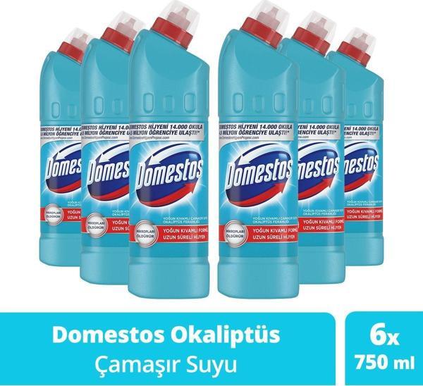 Domestos Çamaşır Suyu Yoğun Kıvamlı Okaliptus Ferahlığı 750 Ml 6 Adet - Image 1
