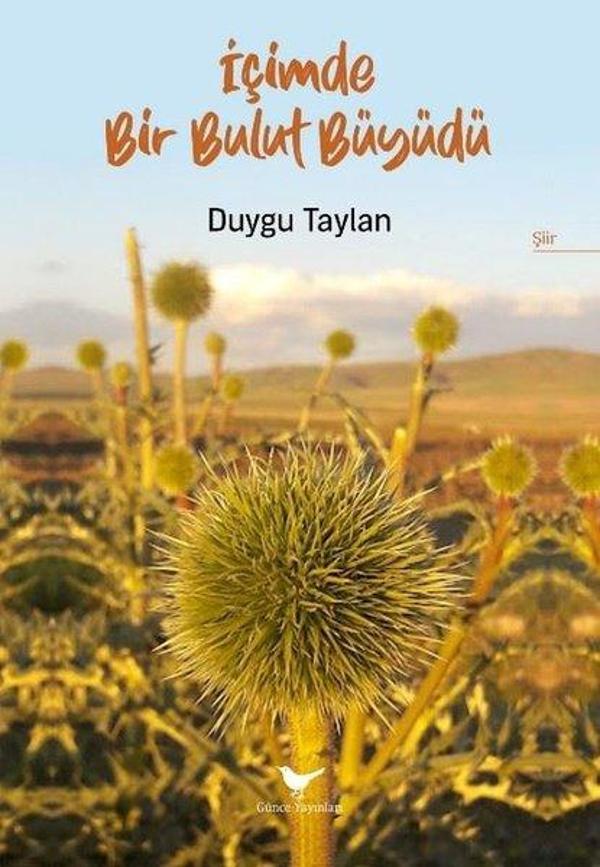 İçimde Bir Bulut Büyüdü - Günce Yayınları - Image 1