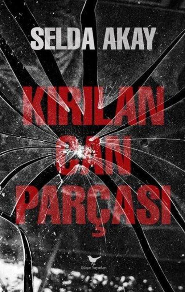 Kırılan Can Parçası - Günce Yayınları - Image 1