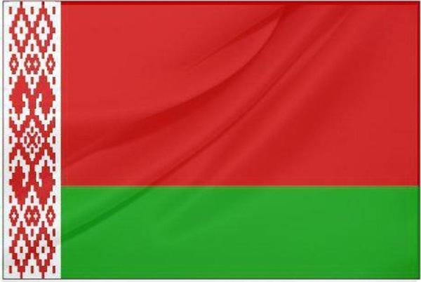 Belarus Devlet Bayrağı (50x75 cm) - Image 1