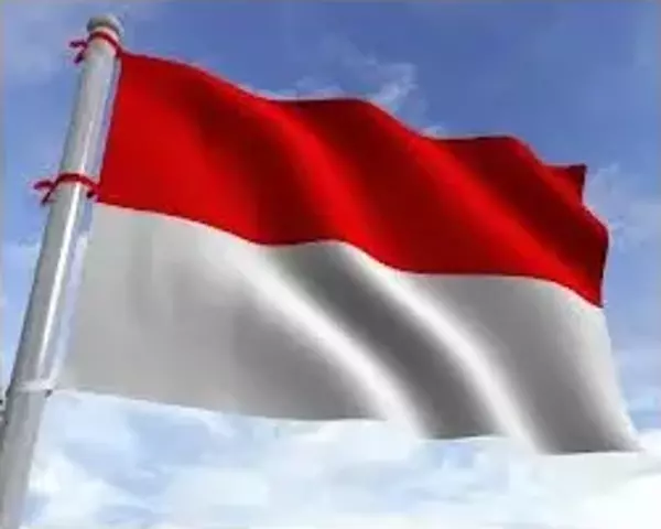 Endonezya Devleti Gönder Bayrağı 70x105 - Image 1