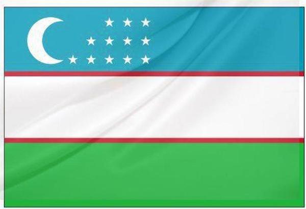 Özbekistan Bayrağı (30x45 cm) - Image 1