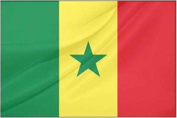 Senegal Devlet Bayrağı (50x75 cm) - Image 1