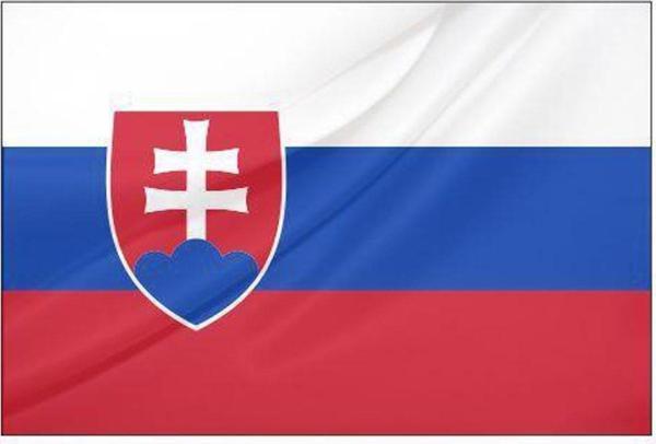 Slovakya Bayrağı (30x45 cm) - Image 1