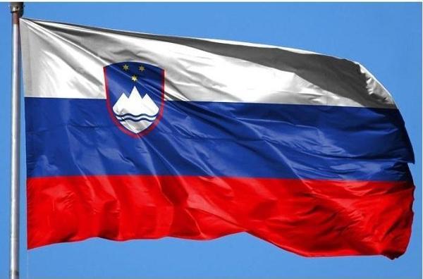 Slovenya Bayrağı (30x45 cm) - Image 1