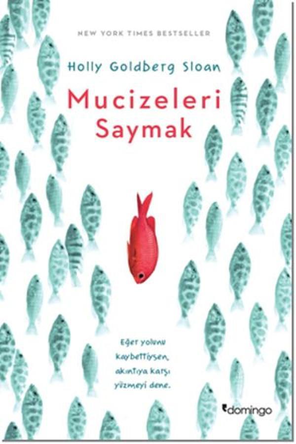 Mucizeleri Saymak - Domingo Yayınevi - Image 1
