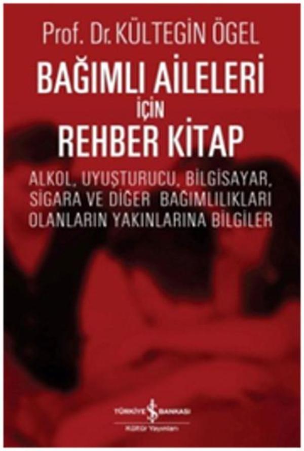 Bağımlı Aileleri İçin Rehber Kitap - İş Bankası Kültür Yayınları - Image 1