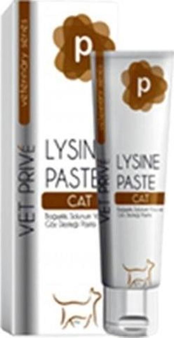 Vet Prive Veterinary Lysine Bağışıklık Solunum ve Göz Desteği Veren Kedi Vitamini Malt Macunu 100 gr - Image 1