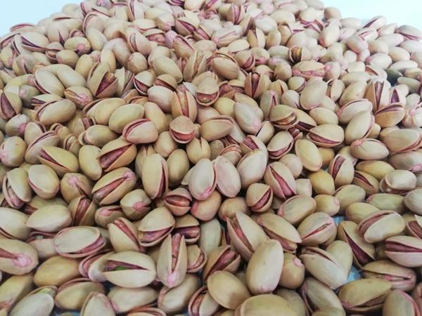 ANA ÇATLAK ANTEP FISTIĞI 500 GR - Image 1