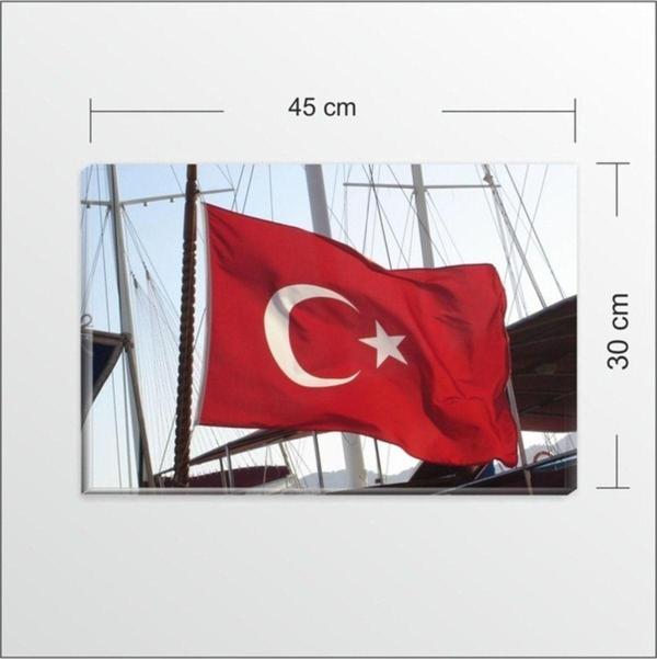 M3Decorium 30 x 45 Cm Türk Bayrağı Kanvas Tablo - Image 1