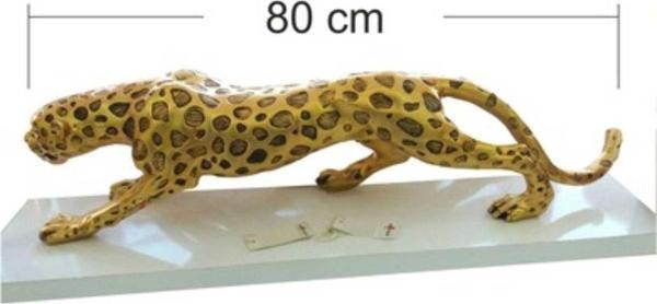 M3Decorium Büyük Dev Ağır 80 Cm Altın Leopar Aslan Arslan Kedi Kaplan Biblosu Heykeli Büstü - Image 1