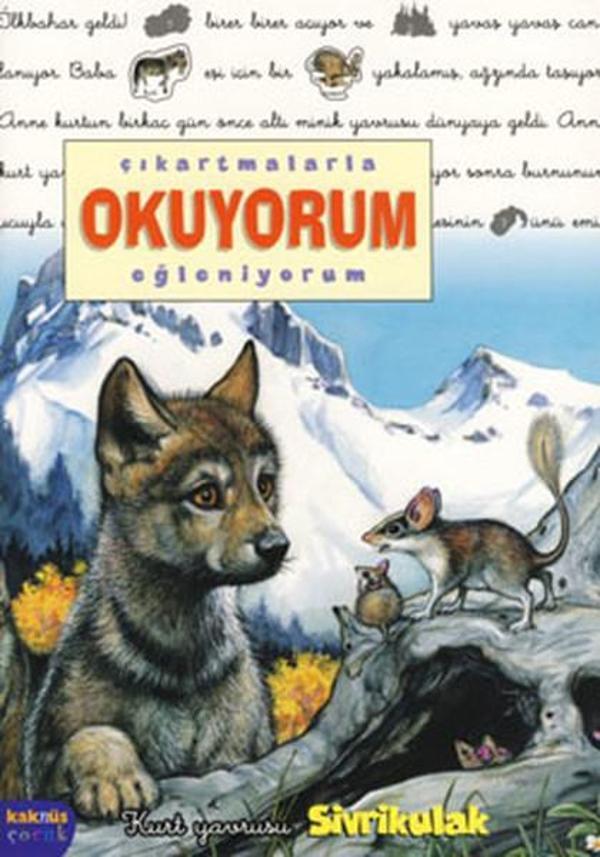 Kurt Yavrusu Sivri Kulak - Çıkartmalarla Okuyorum Eğleniyorum - Kaknüs Yayınları - Image 1