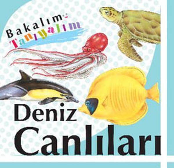 Deniz Canlıları - Bakalım Tanıyalım - Final Kültür Sanat Yayınları - Image 1