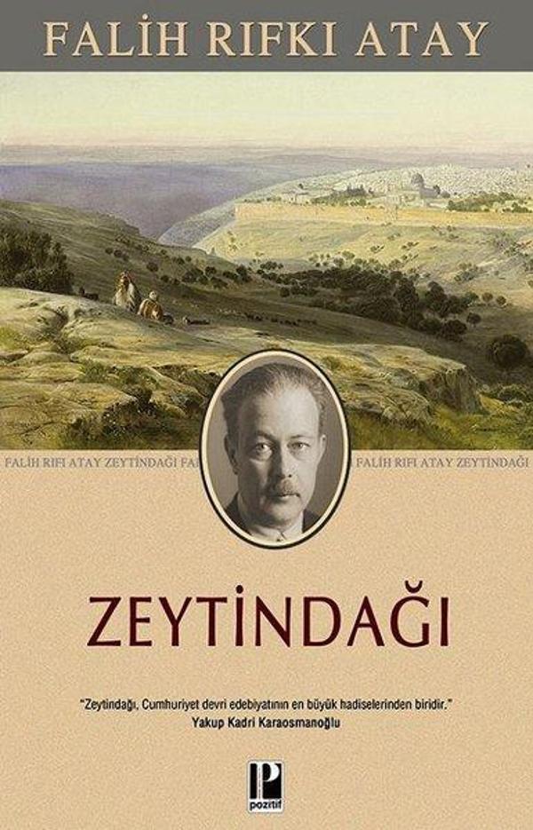 Zeytindağı - Pozitif Yayıncılık - Image 1