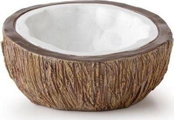 Exo Terra Ex Coconut Su Kabı Water Dish - Image 1