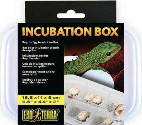 Exo Terra Incubation Box - Image 1
