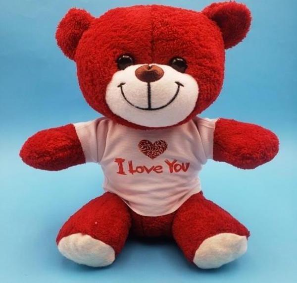 Kırmızı I Love You Peluş Ayıcık - Image 1