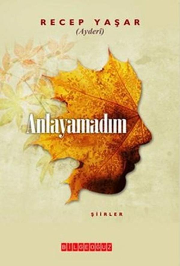 Anlayamadım - Bilgeoğuz Yayınları - Image 1