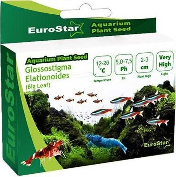 EuroStar Bitki Tohum Glossostigma Elatinoides - Image 1