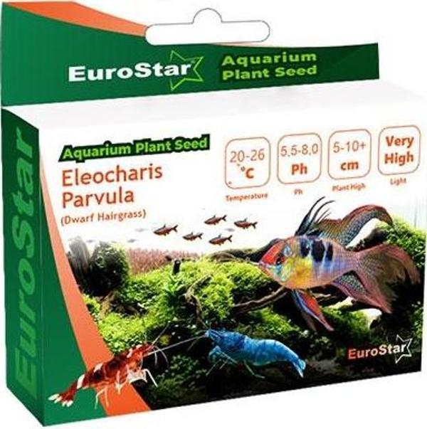 EuroStar Bitki Tohumu Eleocharis Parvula - Image 1