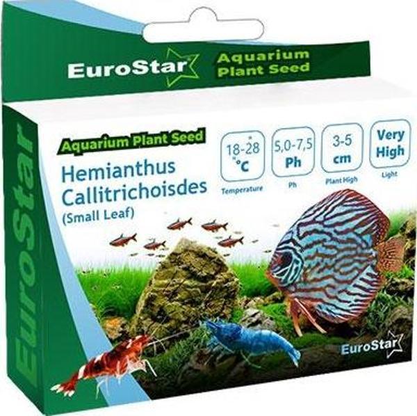 EuroStar Bitki Tohumu Hemianthus Callitrichoides - Image 1