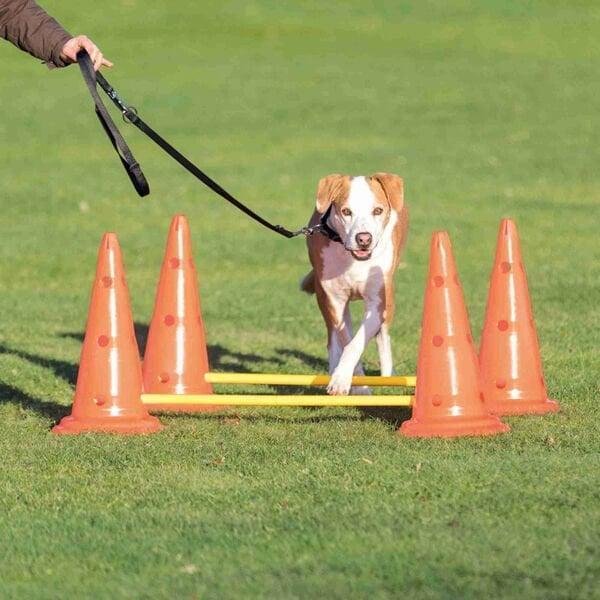 Trixie Köpek Agility Oyuncağı 2 Ad  30X50cm 100cm - Image 1