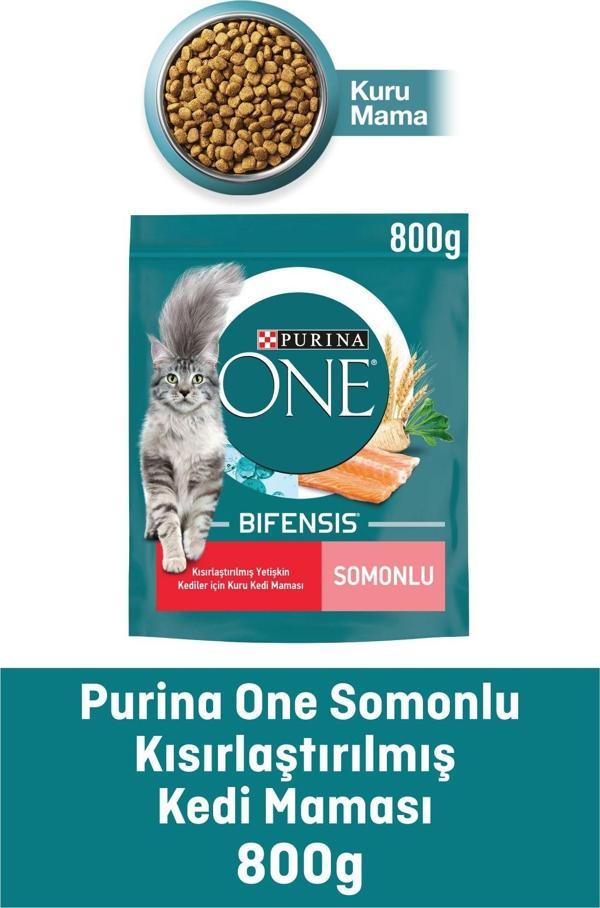 Purina One Sterilised Somonlu Kısırlaştırılmış Kedi Maması 800 Gr - Image 1