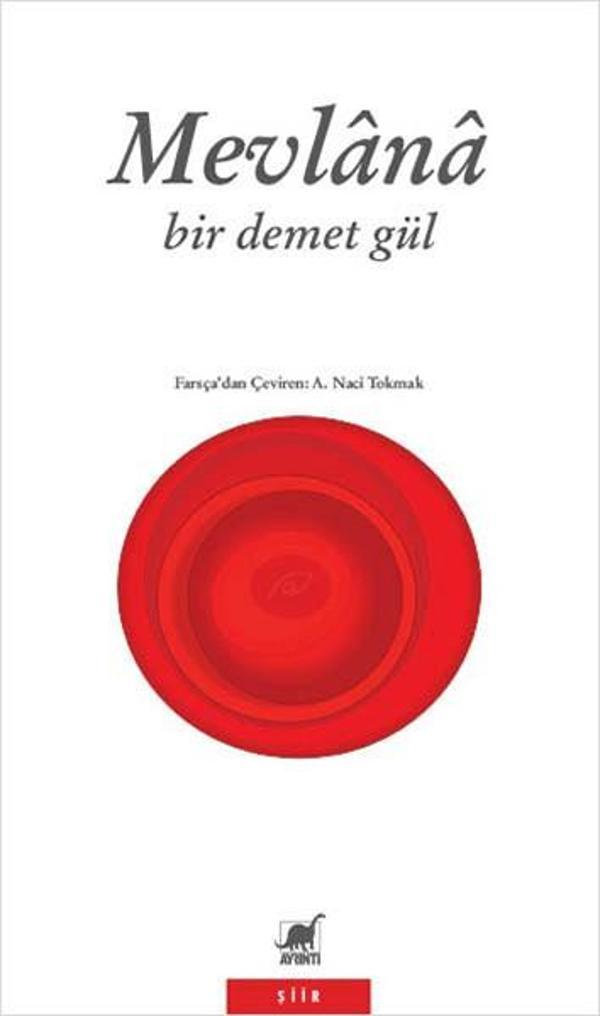 Bir Demet Gül - Ayrıntı Yayınları - Image 1