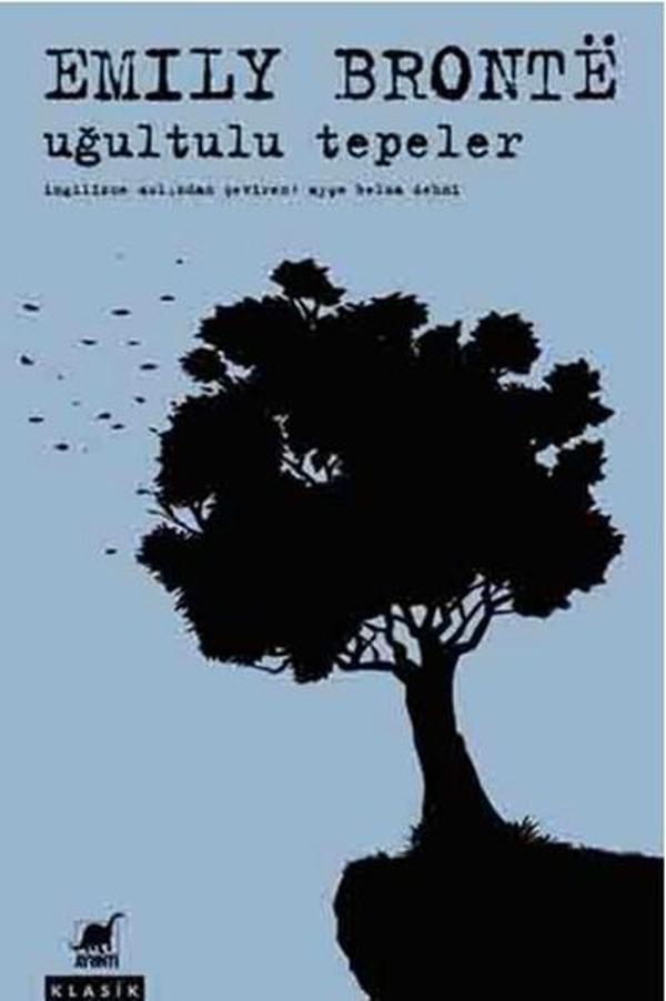Uğultulu Tepeler - Ayrıntı Yayınları - Image 1