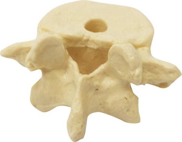 Omur Şeklinde Kalemlik Model 1 - Image 1