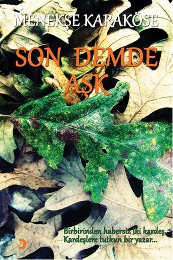 Son Demde Aşk - Cinius Yayınevi - Image 1