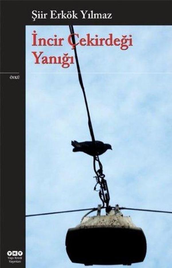 İncir Çekirdeği Yanığı - Yapı Kredi Yayınları - Image 1