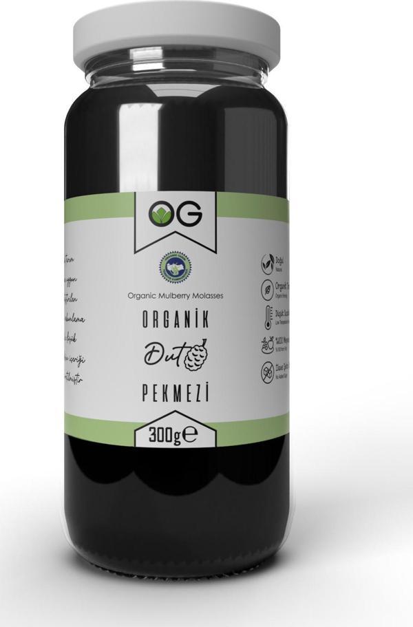 Organik Dut Pekmezi 300 Gr - Image 1