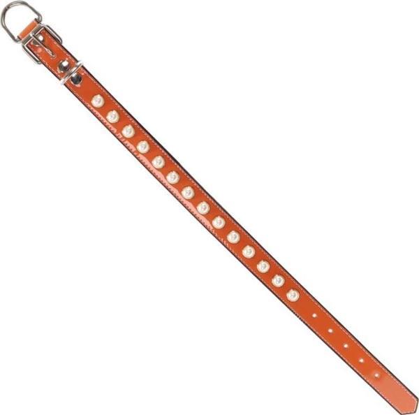 Glipet  Turuncu İncili Destekli Boyun Tasması 2x40 Cm - Image 1