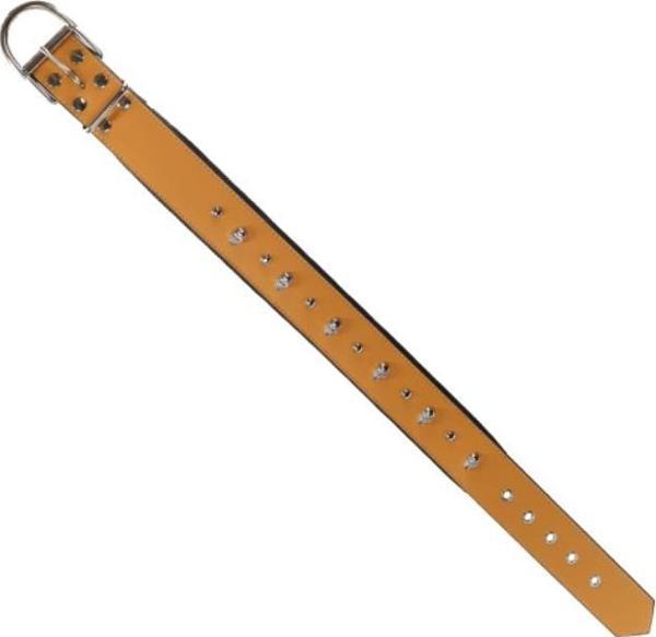 Glipet Kuru Kafalı Ve Çivili Sarı Renkli Destekli Yumuşak Doku Köpek Boyun Tasması 4x65 Cm - Image 1