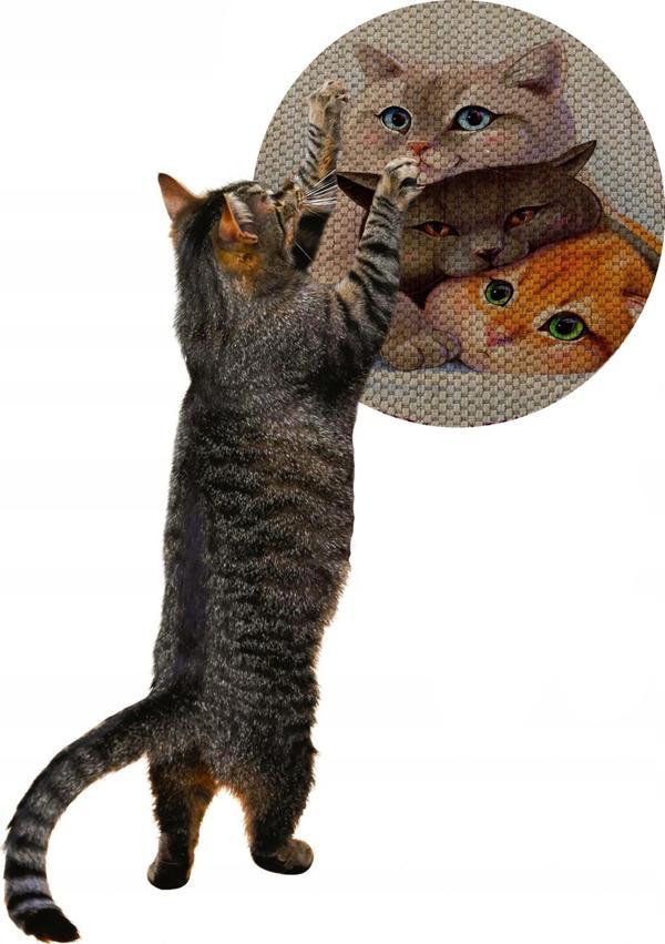 Glipet Desenli Çift Taraflı Kedi Tırmalama Paspası  Yuvarlak Three Cat 36*36 cm - Image 1