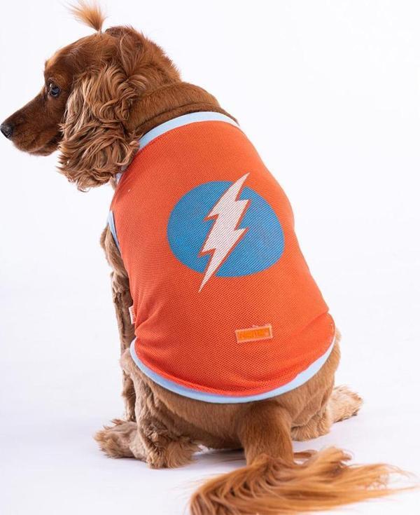 Pawstar Flash Mesh Kedi Köpek Tişörtü - Kedi Köpek Kıyafeti Small - Image 1