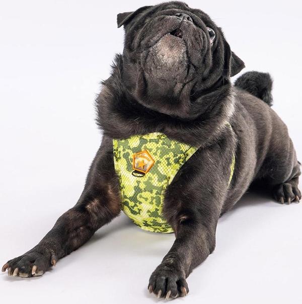 Pawstar GreeNossa Air-mesh Göğüs Tasması Kedi Köpek Göğüs Tasması 3 XSmall - Image 1