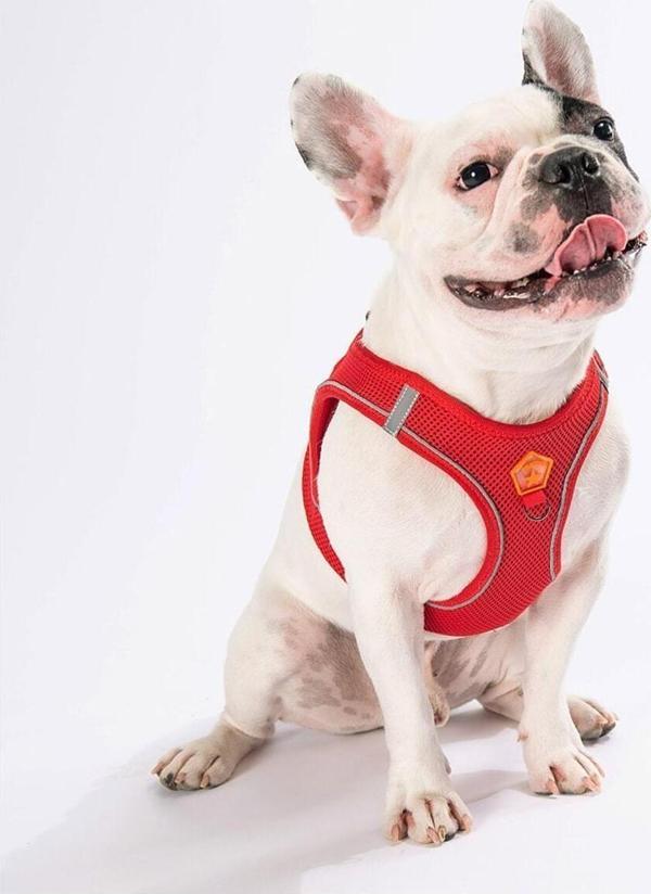Pawstar Kırmızı Air-mesh Göğüs Tasması Kedi Köpek Göğüs Tasması M - Image 1