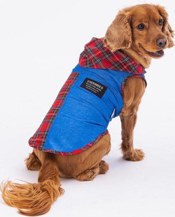 Pawstar Denim & Plaid Kedi Köpek Gömleği - Kedi Köpek Kıyafeti L - Image 1